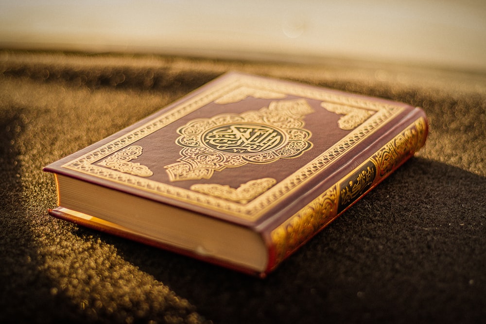Survei: Separuh Penduduk Denmark Dukung Larangan Pembakaran Al-Quran